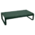 Vert cèdre
