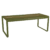 Pesto