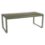 Romarin