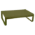Pesto