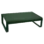 Vert cèdre