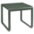 Romarin