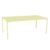 Citron givré