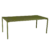 Vert cèdre