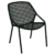 Réglisse