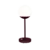 Cerise noire